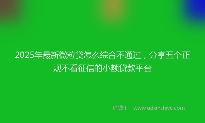 2025年最新微粒贷怎么综合不通过，分享五个正规不看征信的小额贷款平台
