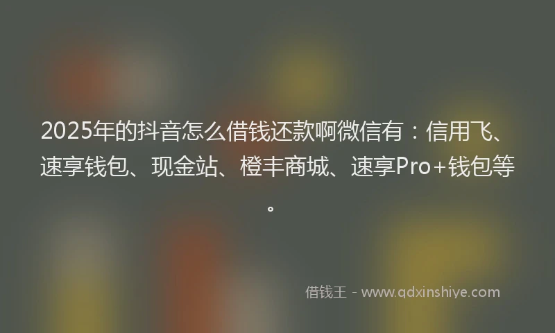 2025年的抖音怎么借钱还款啊微信有：信用飞、速享钱包、现金站、橙丰商城、速享Pro+钱包等。
