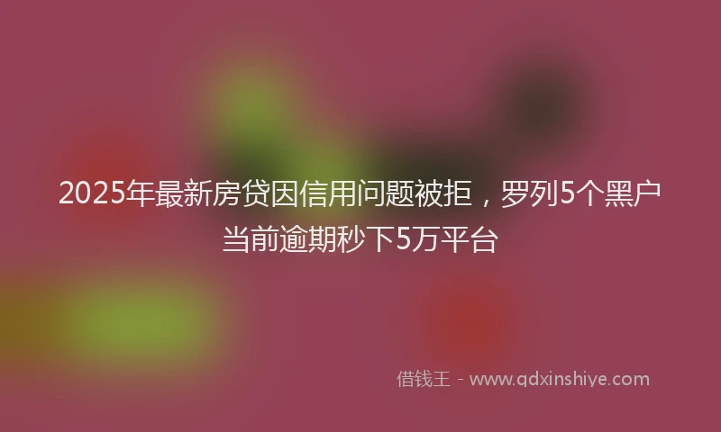 2025年最新房贷因信用问题被拒，罗列5个黑户当前逾期秒下5万平台