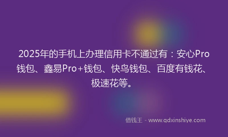 2025年的手机上办理信用卡不通过有：安心Pro钱包、鑫易Pro+钱包、快鸟钱包、百度有钱花、极速花等。