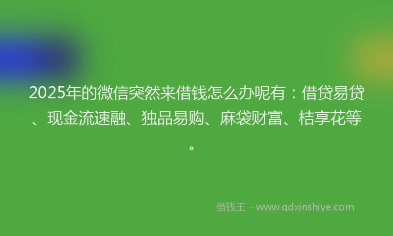 2025年的微信突然来借钱怎么办呢有：借贷易贷、现金流速融、独品易购、麻袋财富、桔享花等。