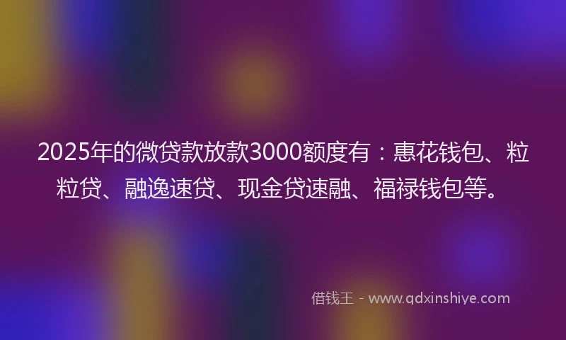 2025年的微贷款放款3000额度有：惠花钱包、粒粒贷、融逸速贷、现金贷速融、福禄钱包等。