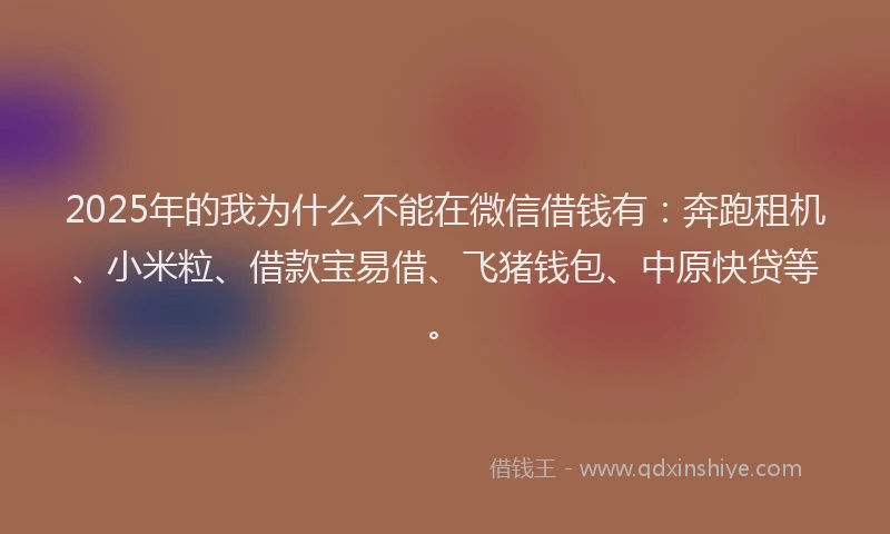 2025年的我为什么不能在微信借钱有：奔跑租机、小米粒、借款宝易借、飞猪钱包、中原快贷等。