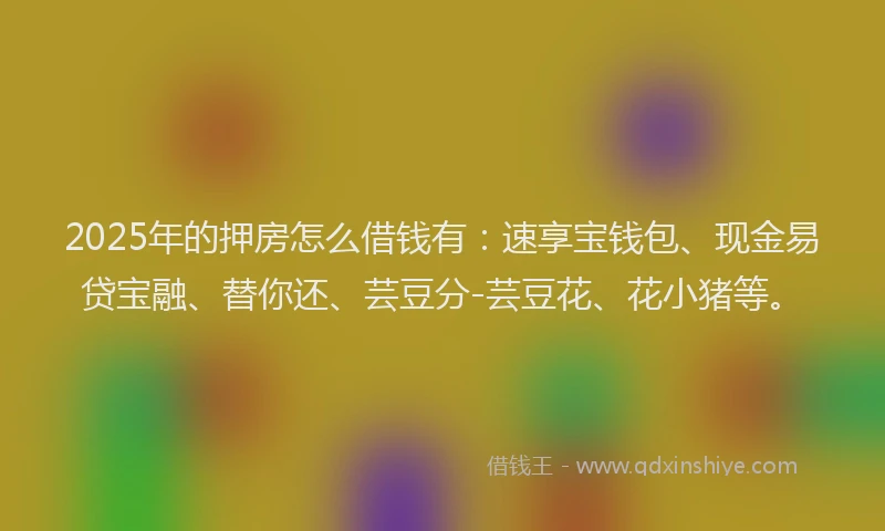 2025年的押房怎么借钱有：速享宝钱包、现金易贷宝融、替你还、芸豆分-芸豆花、花小猪等。