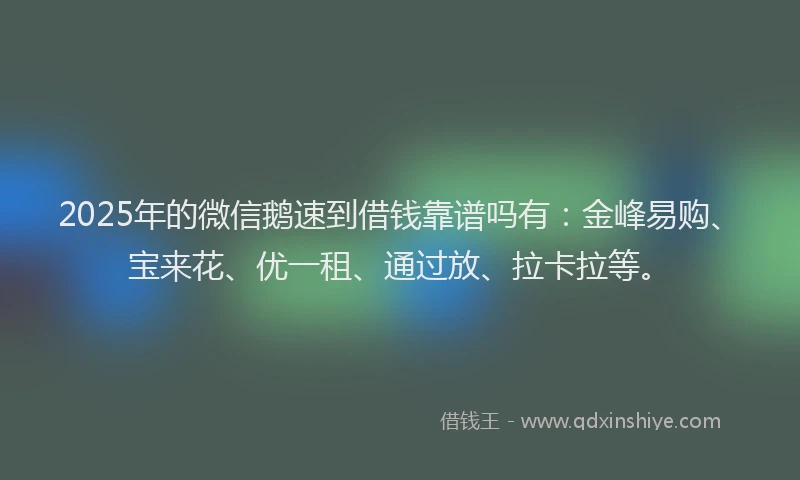 2025年的微信鹅速到借钱靠谱吗有：金峰易购、宝来花、优一租、通过放、拉卡拉等。