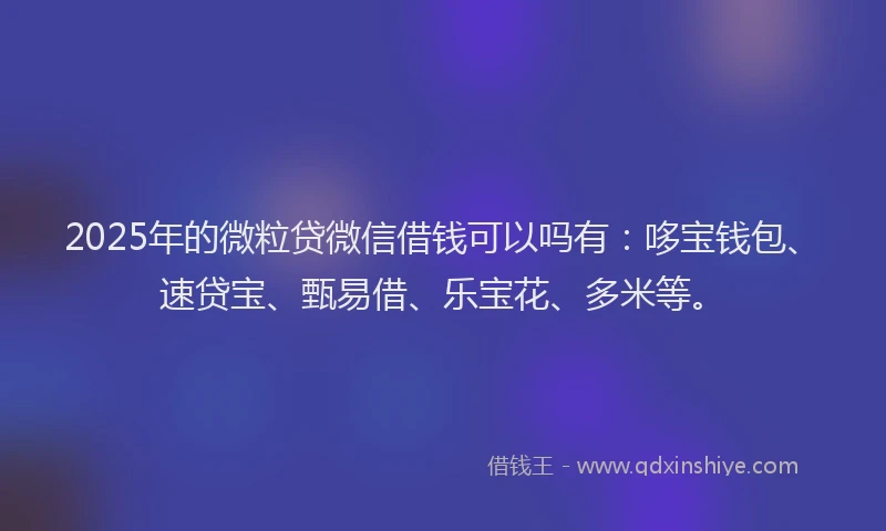 2025年的微粒贷微信借钱可以吗有：哆宝钱包、速贷宝、甄易借、乐宝花、多米等。