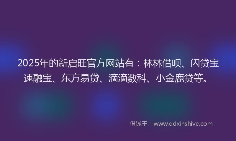 2025年的新启旺官方网站有：林林借呗、闪贷宝速融宝、东方易贷、滴滴数科、小金鹿贷等。