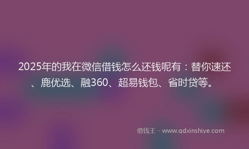 2025年的我在微信借钱怎么还钱呢有：替你速还、鹿优选、融360、超易钱包、省时贷等。