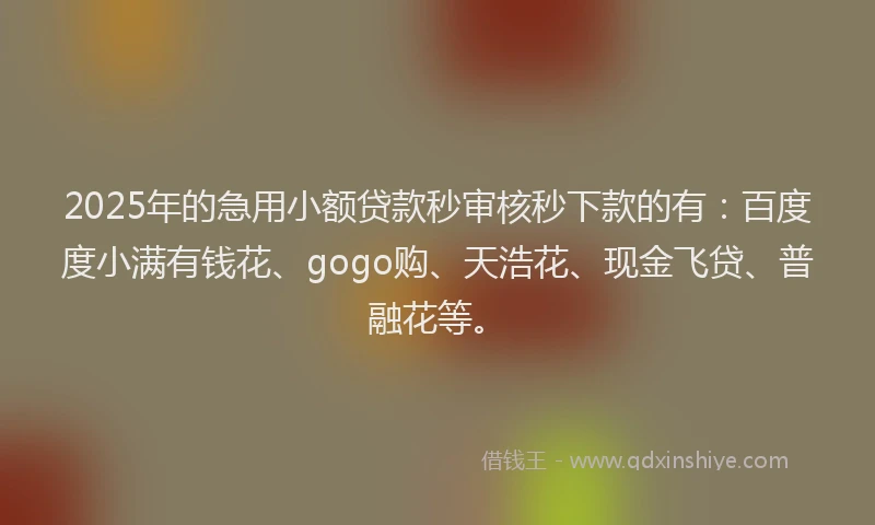 2025年的急用小额贷款秒审核秒下款的有：百度度小满有钱花、gogo购、天浩花、现金飞贷、普融花等。