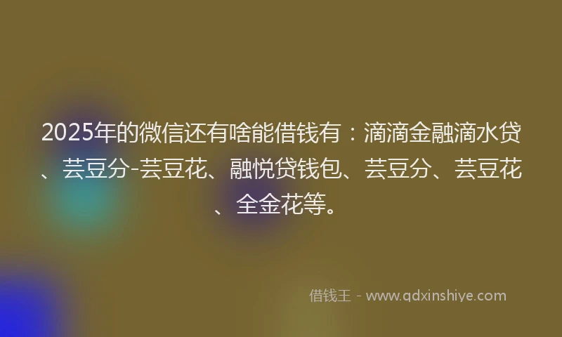 2025年的微信还有啥能借钱有：滴滴金融滴水贷、芸豆分-芸豆花、融悦贷钱包、芸豆分、芸豆花、全金花等。