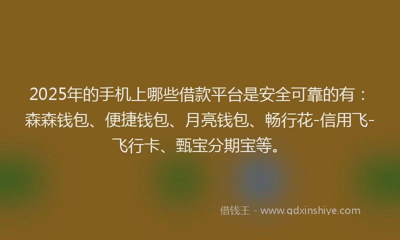 2025年的手机上哪些借款平台是安全可靠的有：森森钱包、便捷钱包、月亮钱包、畅行花-信用飞-飞行卡、甄宝分期宝等。