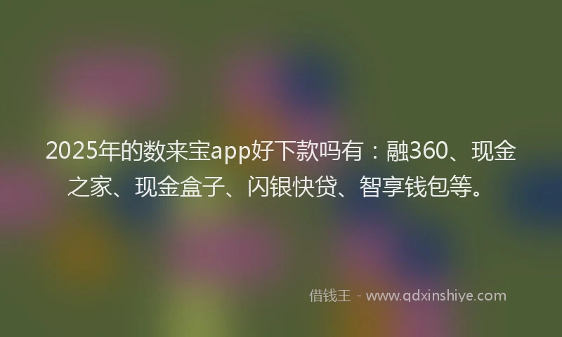 2025年的数来宝app好下款吗有：融360、现金之家、现金盒子、闪银快贷、智享钱包等。