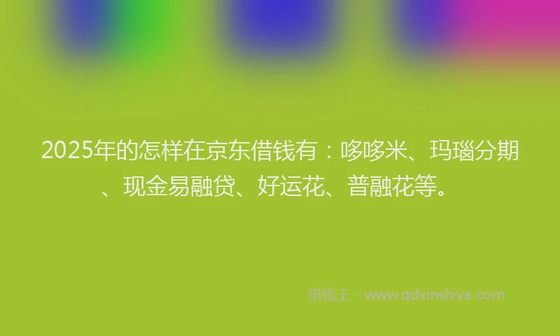 2025年的怎样在京东借钱有：哆哆米、玛瑙分期、现金易融贷、好运花、普融花等。