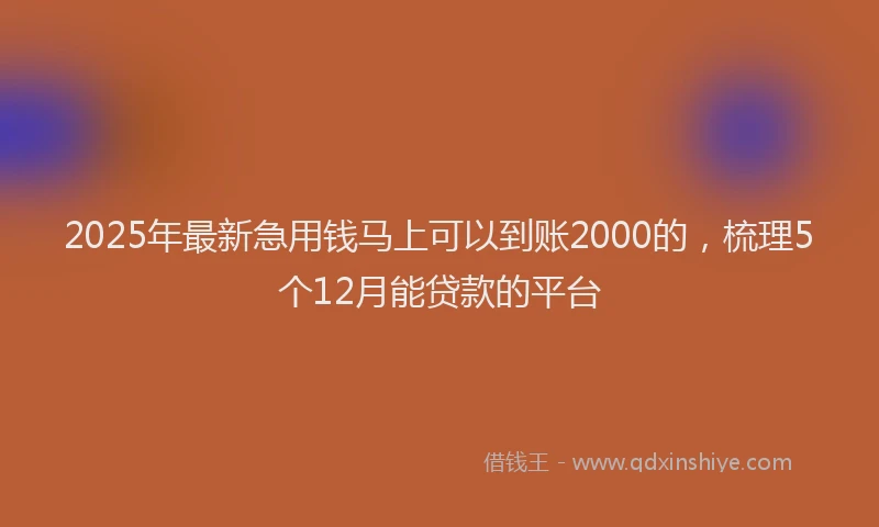 2025年最新急用钱马上可以到账2000的，梳理5个12月能贷款的平台