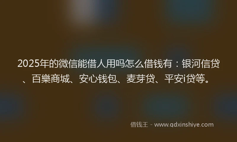 2025年的微信能借人用吗怎么借钱有：银河信贷、百樂商城、安心钱包、麦芽贷、平安i贷等。