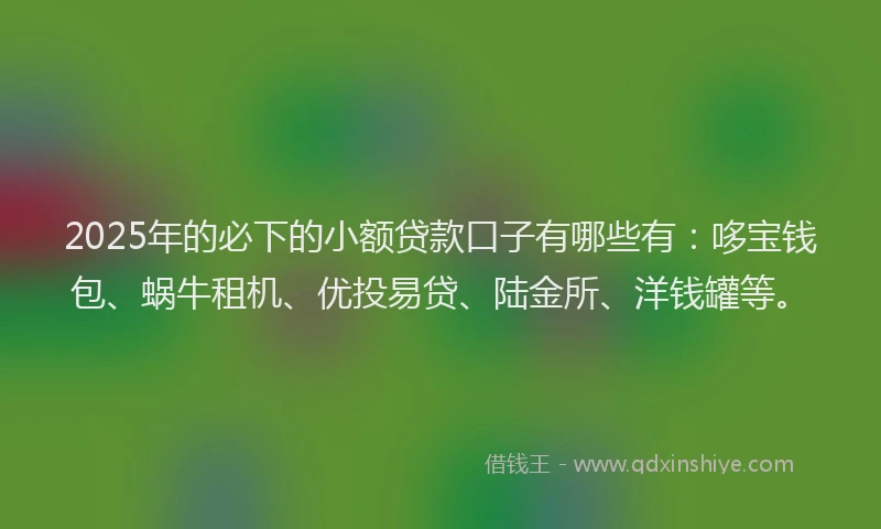 2025年的必下的小额贷款口子有哪些有：哆宝钱包、蜗牛租机、优投易贷、陆金所、洋钱罐等。