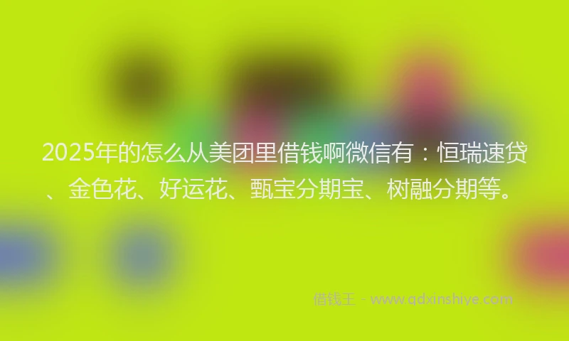 2025年的怎么从美团里借钱啊微信有：恒瑞速贷、金色花、好运花、甄宝分期宝、树融分期等。