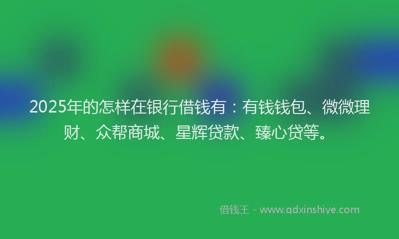 2025年的怎样在银行借钱有：有钱钱包、微微理财、众帮商城、星辉贷款、臻心贷等。