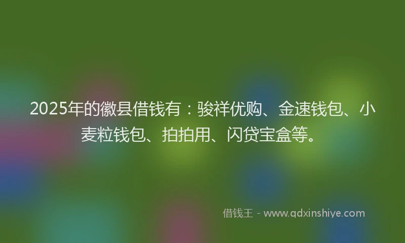2025年的徽县借钱有：骏祥优购、金速钱包、小麦粒钱包、拍拍用、闪贷宝盒等。