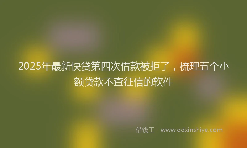 2025年最新快贷第四次借款被拒了，梳理五个小额贷款不查征信的软件