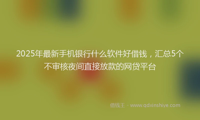 2025年最新手机银行什么软件好借钱，汇总5个不审核夜间直接放款的网贷平台