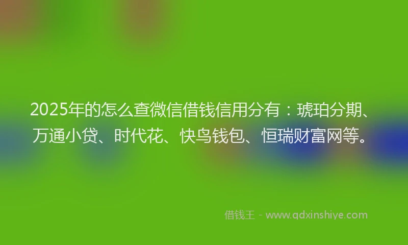 2025年的怎么查微信借钱信用分有：琥珀分期、万通小贷、时代花、快鸟钱包、恒瑞财富网等。