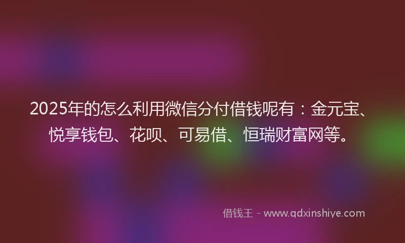 2025年的怎么利用微信分付借钱呢有：金元宝、悦享钱包、花呗、可易借、恒瑞财富网等。