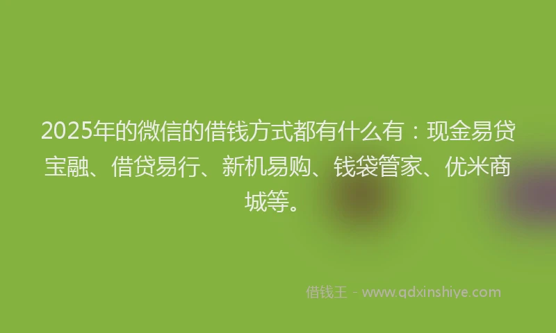 2025年的微信的借钱方式都有什么有：现金易贷宝融、借贷易行、新机易购、钱袋管家、优米商城等。