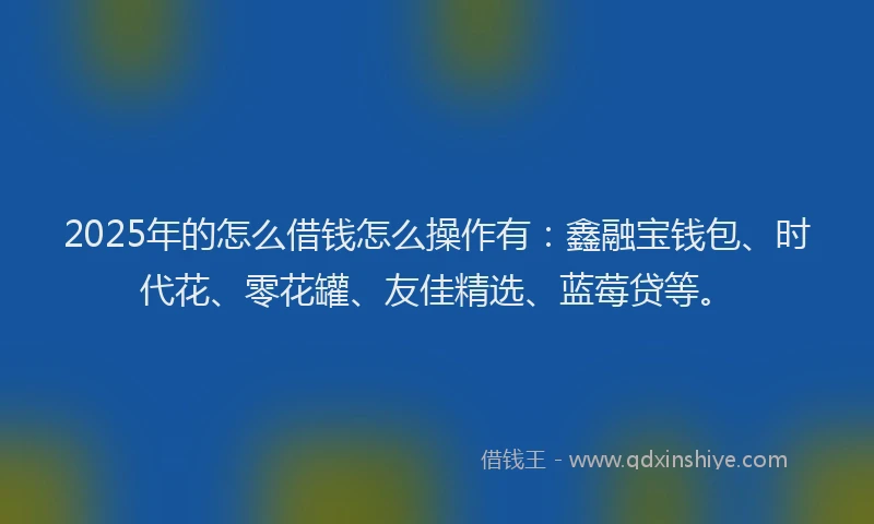 2025年的怎么借钱怎么操作有：鑫融宝钱包、时代花、零花罐、友佳精选、蓝莓贷等。