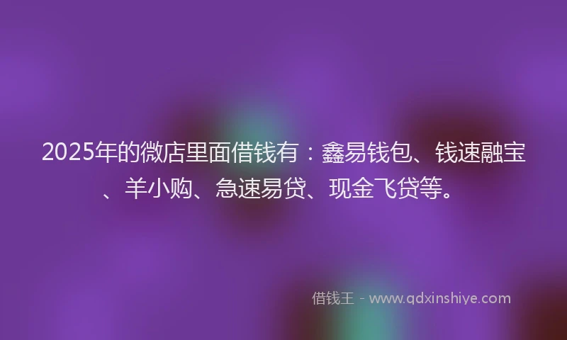 2025年的微店里面借钱有：鑫易钱包、钱速融宝、羊小购、急速易贷、现金飞贷等。