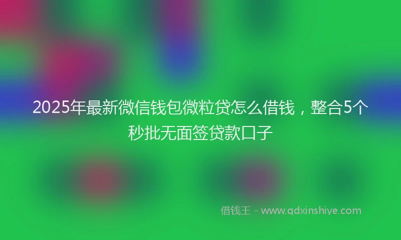 2025年最新微信钱包微粒贷怎么借钱，整合5个秒批无面签贷款口子