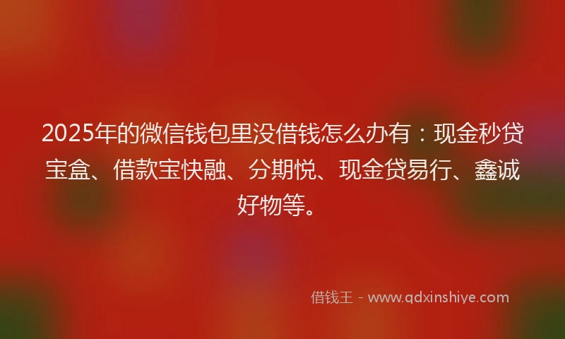 2025年的微信钱包里没借钱怎么办有：现金秒贷宝盒、借款宝快融、分期悦、现金贷易行、鑫诚好物等。