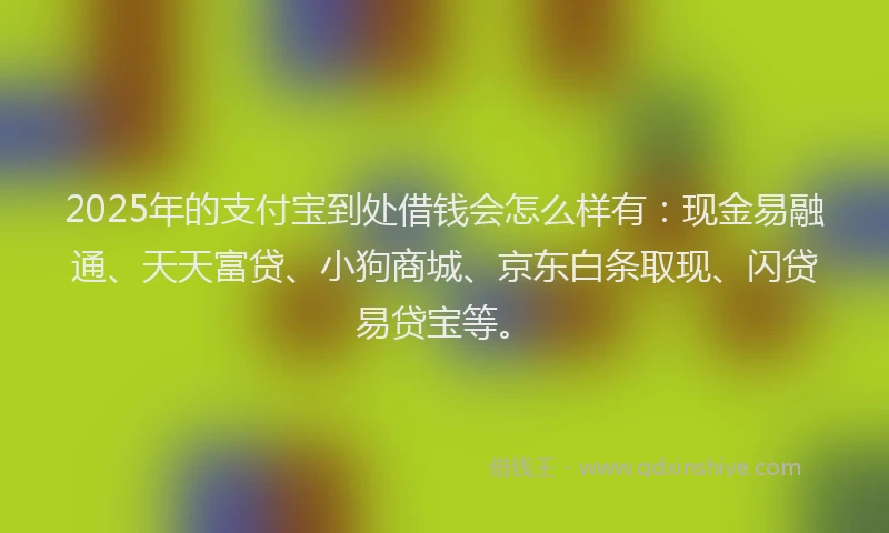 2025年的支付宝到处借钱会怎么样有：现金易融通、天天富贷、小狗商城、京东白条取现、闪贷易贷宝等。