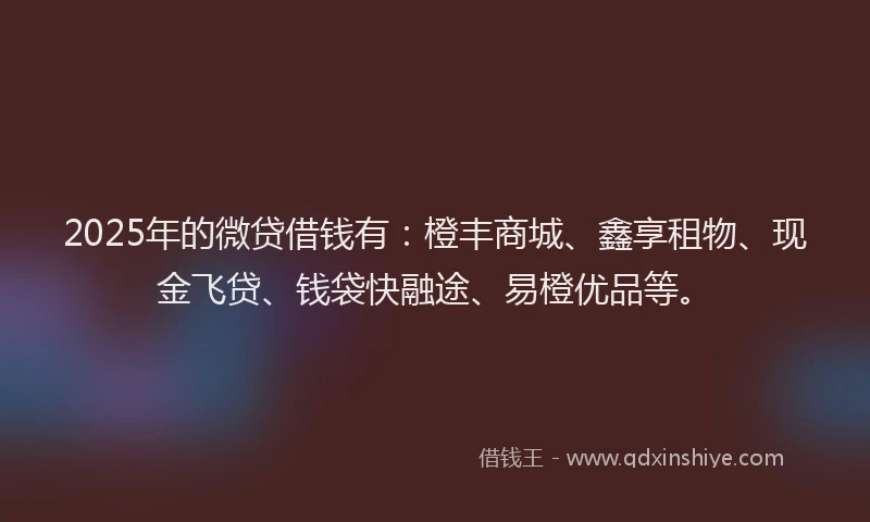 2025年的微贷借钱有：橙丰商城、鑫享租物、现金飞贷、钱袋快融途、易橙优品等。