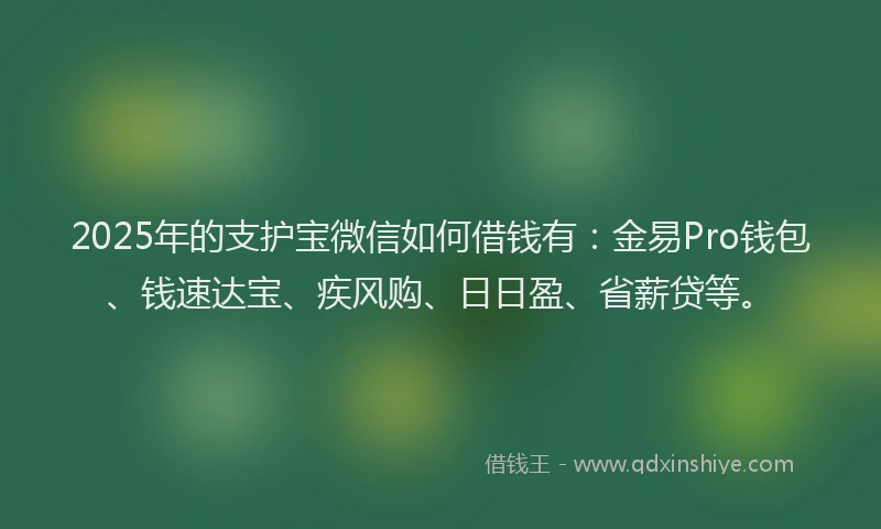 2025年的支护宝微信如何借钱有：金易Pro钱包、钱速达宝、疾风购、日日盈、省薪贷等。