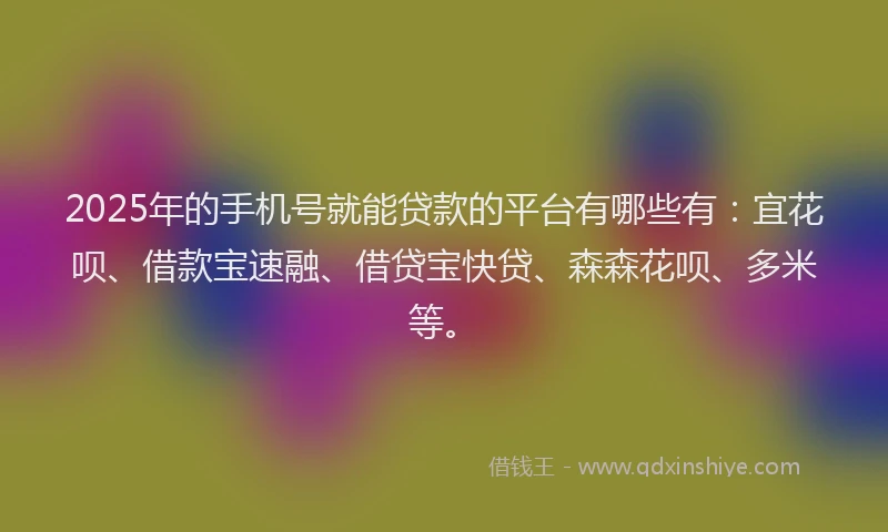 2025年的手机号就能贷款的平台有哪些有：宜花呗、借款宝速融、借贷宝快贷、森森花呗、多米等。