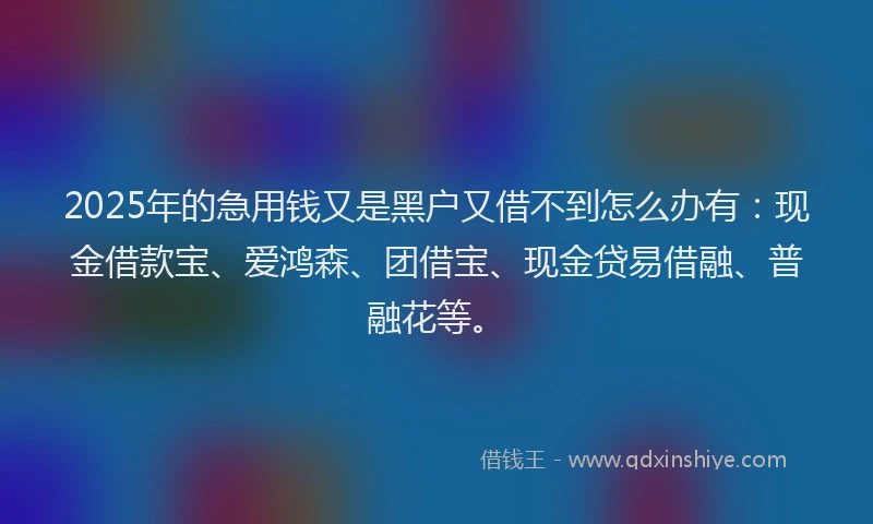 2025年的急用钱又是黑户又借不到怎么办有：现金借款宝、爱鸿森、团借宝、现金贷易借融、普融花等。