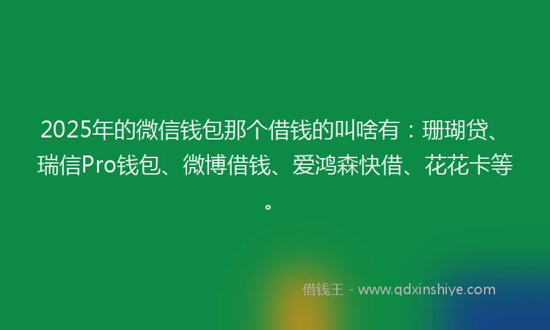 2025年的微信钱包那个借钱的叫啥有：珊瑚贷、瑞信Pro钱包、微博借钱、爱鸿森快借、花花卡等。