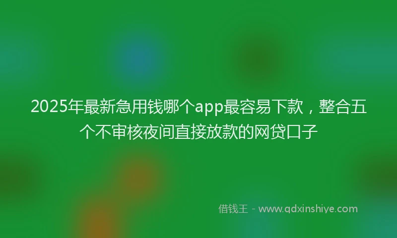 2025年最新急用钱哪个app最容易下款，整合五个不审核夜间直接放款的网贷口子