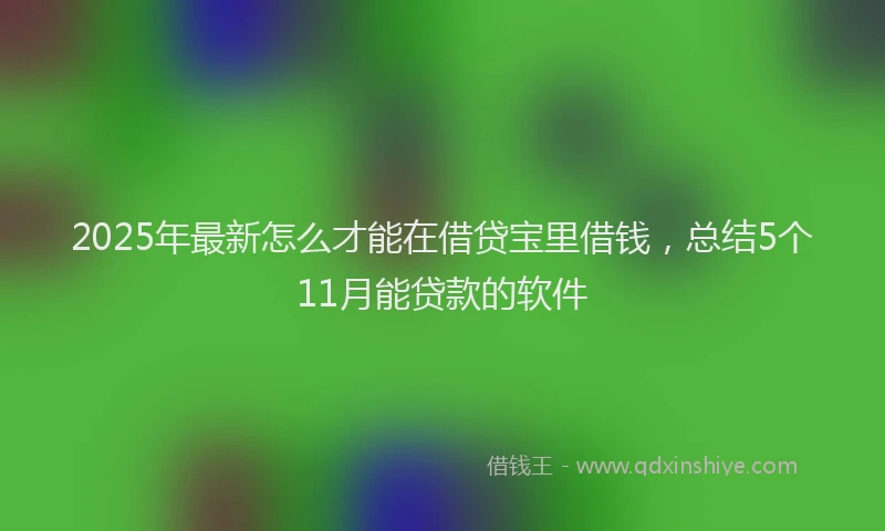 2025年最新怎么才能在借贷宝里借钱，总结5个11月能贷款的软件