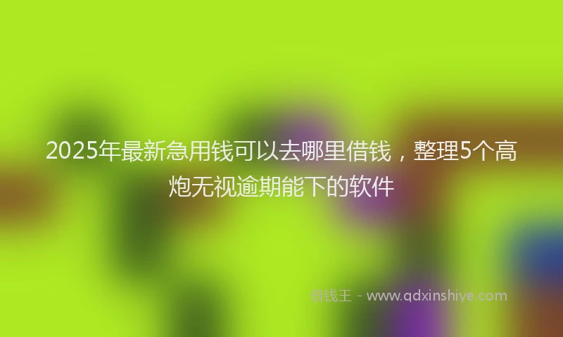 2025年最新急用钱可以去哪里借钱，整理5个高炮无视逾期能下的软件