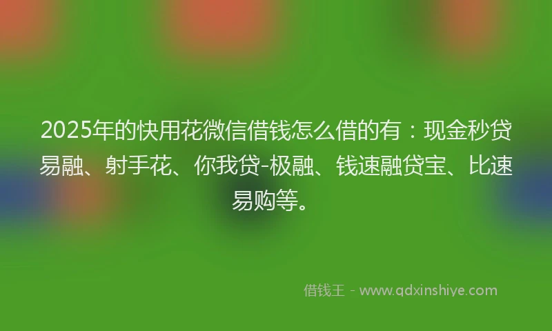 2025年的快用花微信借钱怎么借的有：现金秒贷易融、射手花、你我贷-极融、钱速融贷宝、比速易购等。