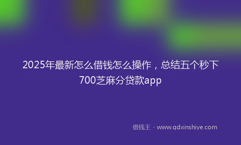 2025年最新怎么借钱怎么操作，总结五个秒下700芝麻分贷款app