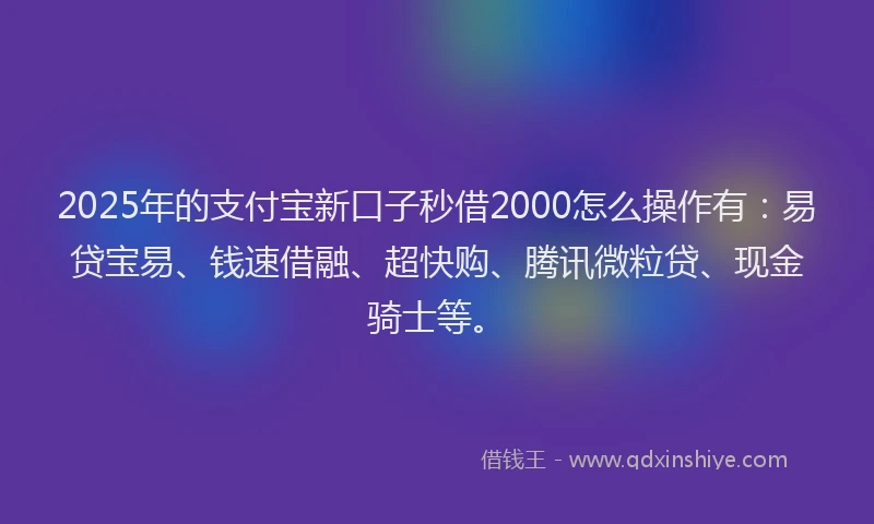 2025年的支付宝新口子秒借2000怎么操作有：易贷宝易、钱速借融、超快购、腾讯微粒贷、现金骑士等。