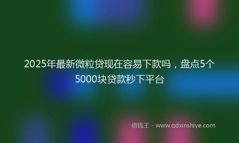 2025年最新微粒贷现在容易下款吗，盘点5个5000块贷款秒下平台