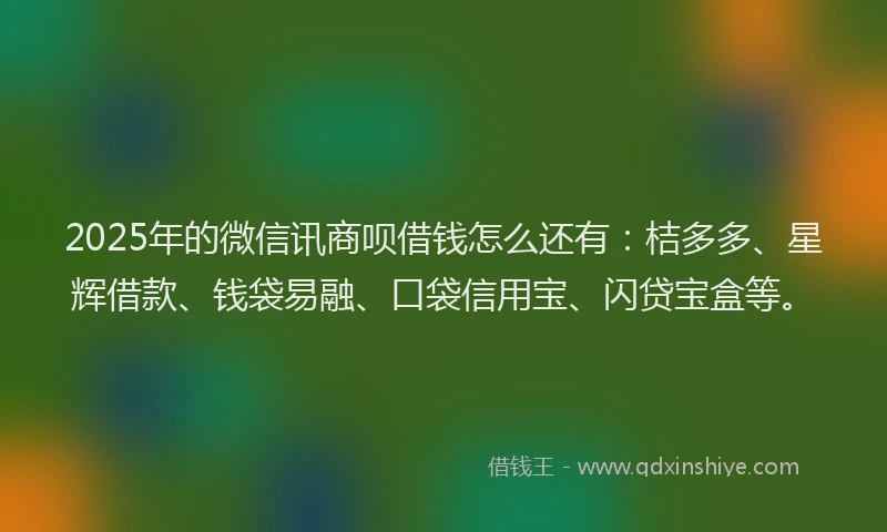 2025年的微信讯商呗借钱怎么还有：桔多多、星辉借款、钱袋易融、口袋信用宝、闪贷宝盒等。