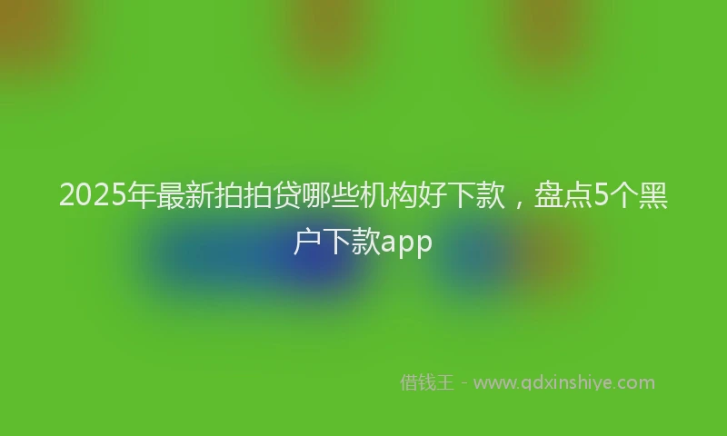 2025年最新拍拍贷哪些机构好下款，盘点5个黑户下款app