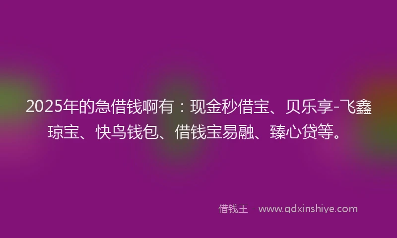 2025年的急借钱啊有：现金秒借宝、贝乐享-飞鑫琼宝、快鸟钱包、借钱宝易融、臻心贷等。
