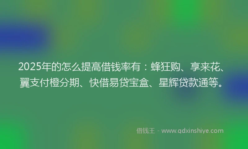 2025年的怎么提高借钱率有：蜂狂购、享来花、翼支付橙分期、快借易贷宝盒、星辉贷款通等。