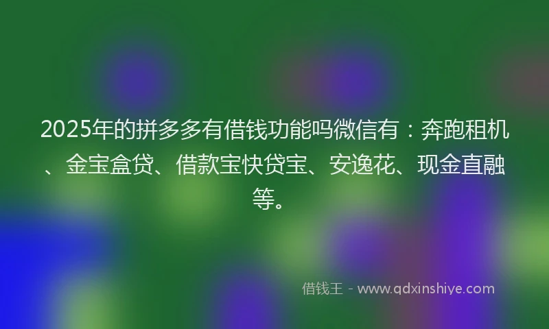 2025年的拼多多有借钱功能吗微信有：奔跑租机、金宝盒贷、借款宝快贷宝、安逸花、现金直融等。